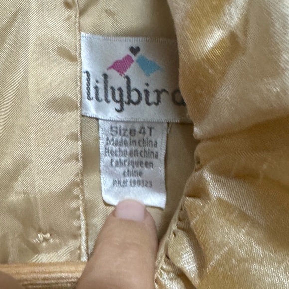 Lilybird, girls 4t, gold, sequin fit and flare dress - Picture 3 of 4